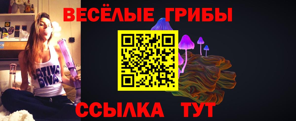 Менделеевск  Галлюциногенные грибы мицелий  Вход с VPN 